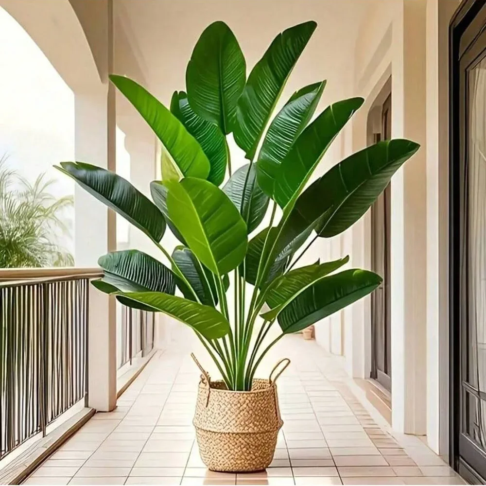Dracaena Marginata - 1 unidad de plantas artificiales de