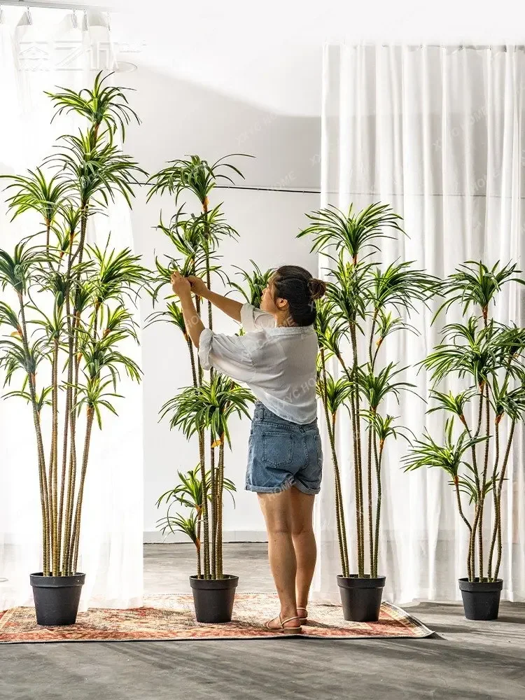 Drácena de Simulación, Drácena - Dracaena Marginata reseña y precio