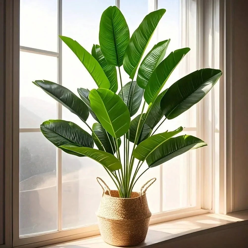 1 unidad de plantas artificial - Dracaena Marginata reseña y precio