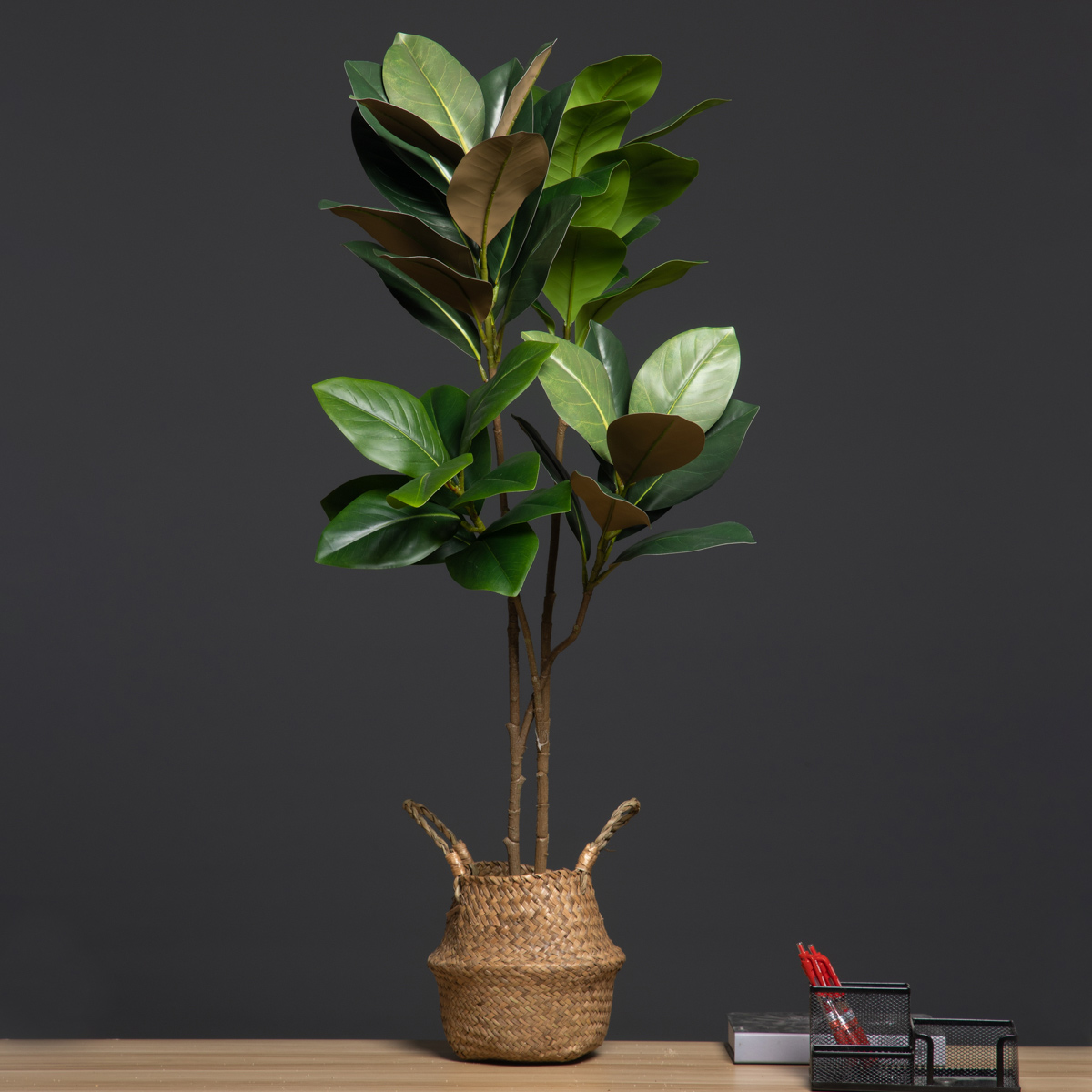 Plantas artificiales grandes d - Dracaena Marginata reseña y precio