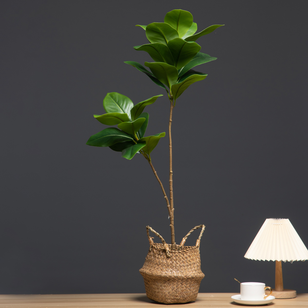 Plantas artificiales grandes d - Dracaena Marginata reseña y precio