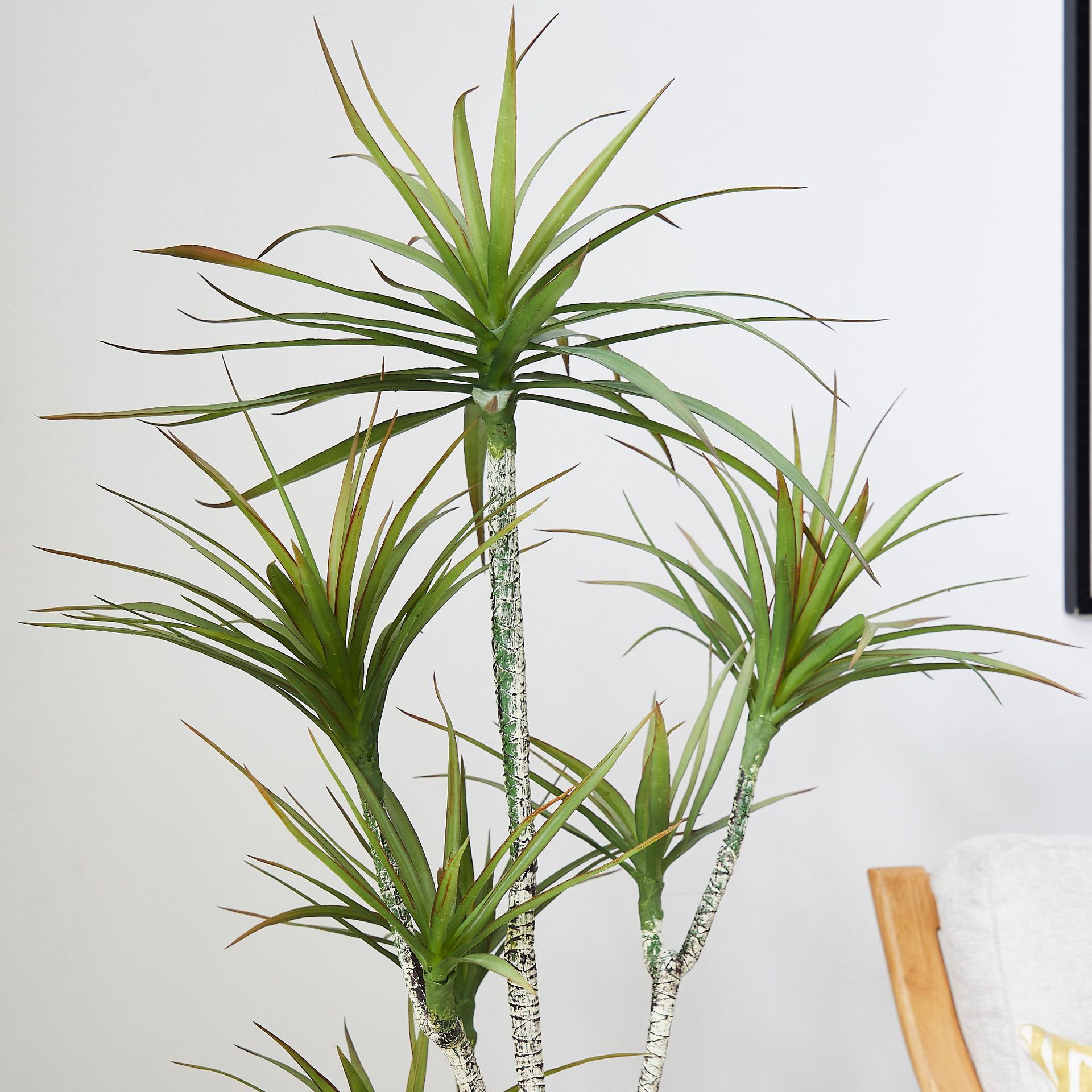 Plástico artificial en maceta  - Dracaena Marginata reseña y precio